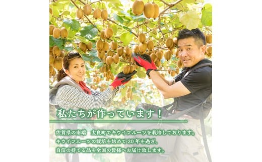 LB-12 体が喜ぶ☆キウイフルーツ