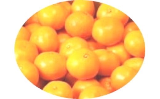 峰農園のゆたたりみかん（小玉） 5kg みかん 温州みかん 完熟みかん さがみかん 太良みかん 甘熟 柑橘 国産 極甘 小玉 美味しい ミネラル豊富 多良岳山系の水 有明海の潮風 贈答用 お中元 お歳暮 産地直送 佐賀県 太良町