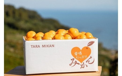 N-218 愛情たっぷりたらみかん（大玉）10kg