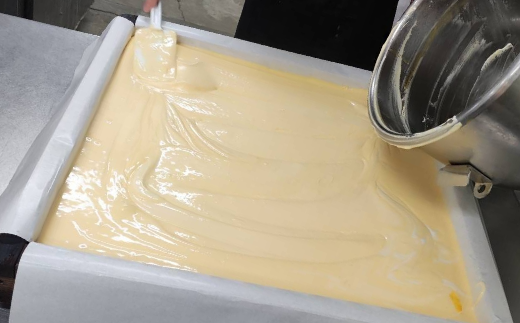 N-249 たまご専門店☆たまご家のカステラ「かすて卵」10個入り