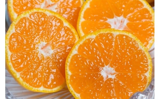 潮風の贈り物 みかん 10kg みかん ミカン 蜜柑 たらみかん 太良みかん 温州みかん 完熟みかん 甘熟 柑橘 有機栽培 国産 佐賀県産 太良町 こだわり 贈答品 産地直送 詰め合わせ 極甘