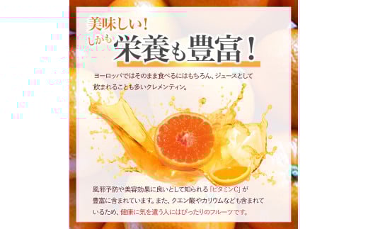山本農園のクレメンティン ６kg ３kg×２箱 クレメンティン 希少 ヨーロッパ生まれ スペイン原産 太良みかん みかん ミカン 蜜柑 フルーツ くだもの 果物 太良町 国産 甘い 美味しい 佐賀県 太良町