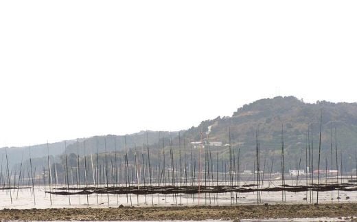 OA-7 佐賀県有明海産一番摘み高級海苔　焼のりセット