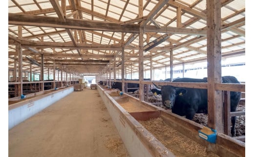 OB-5  佐賀牛100％の贅沢ハンバーグ 150g×5個 手造り 佐賀牛100%