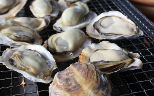 海男の殻付き牡蠣　２０個