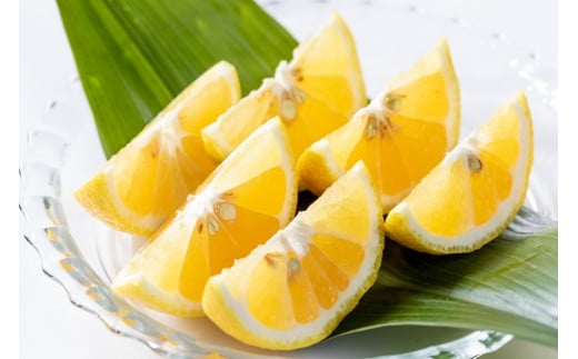 新宮みかん園のお楽しみ定期便　３回コース