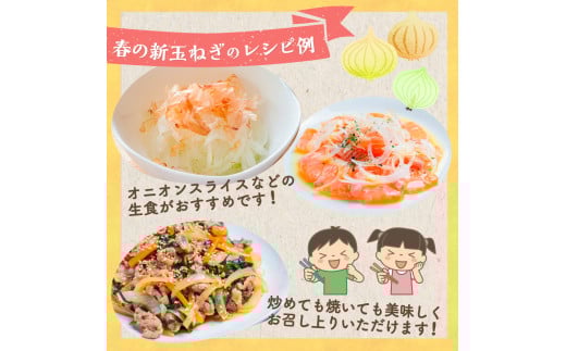 牟田農園の春の新玉ねぎ たっぷり大玉 5kg （2L） 【2026年4月上旬～6月上旬迄順次発送予定】 たまねぎ タマネギ 野菜 新玉ねぎ 玉ねぎ 農家直送 佐賀県 太良町 K4x1