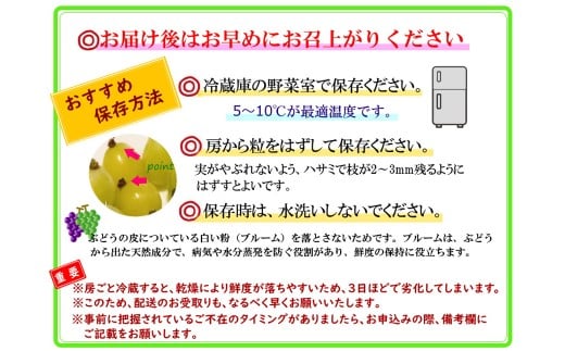 【訳あり】かねひろの黒酢ブラックシャインマスカット~富士の輝き(約700g×2房)