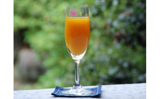 クレメンティンジュース 720ml 2本セット （贈答） 【2026年2月上旬～9月下旬発送予定】 みかん 柑橘 フルーツ ジュース 早津みかん園 佐賀県 太良町 ND13x1-1