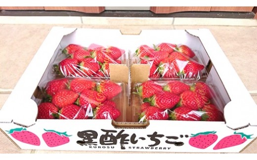 NB22-01 黒酢いちご（ゆめのか）レギュラーパック 260g×4パック （計1040g） 黒酢いちご 黒酢苺 黒酢イチゴ いちご 苺 イチゴ ストロベリー ゆめのか 甘い 美味しい おいしい 太良町 佐賀 冷蔵品