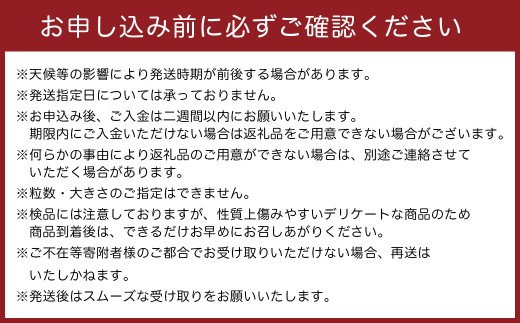 中尾農園の夢みるみかん はるか 3kg みかん ミカン 蜜柑 柑橘 フルーツ くだもの 果物 はるか 小玉 クレメンティン ビタミン豊富 国産 月の引力が見える町 さがみかん 太良みかん 夢見るみかん おいしい 減農薬 濃厚 ギフト 贈答品 贈り物 佐賀県 太良町 MA13x1