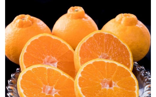 辰見農園の春待ち 「しらぬひ」 5kg 【2026年2月下旬～4月下旬発送予定】 N108x1