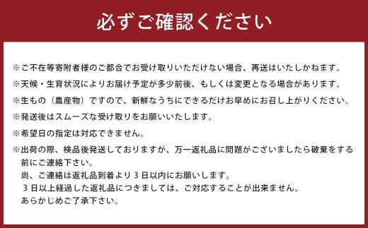 山本農園のスイートスプリング 4.5kg 【2026年1月下旬～3月下旬発送予定】 L61x1