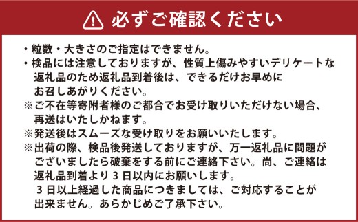 【訳あり】 中尾農園の夢みるみかん 不知火 （サイズ不揃い） 5kg 【2026年3月下旬～4月下旬まで順次発送予定】 みかん ミカン 蜜柑 柑橘 フルーツ くだもの 果物 不知火 ビタミン豊富 国産 月の引力が見える町 さがみかん 太良みかん 夢みるみかん おいしい 減農薬 濃厚 ギフト 贈答品 贈り物 佐賀県 太良町 N259x1