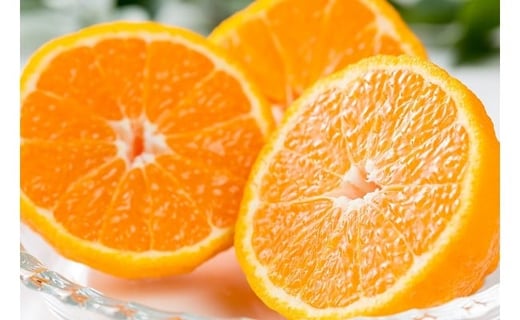 多良岳の恵みで育てたタラデコ（不知火）3kg 【2026年3月上旬～5月下旬発送予定】 太良町 太良みかん みかん王国 不知火 しらぬい ハウスしらぬい デコポン でこぽん ポンカン ぽんかん 椪柑 3kg (5L～L) こだわりの栽培 M70x1