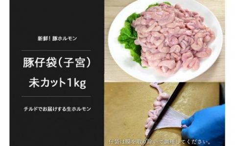 N-191 N30E 新鮮！豚ホルモン 生ブロックセット