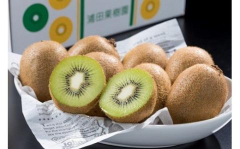 N-58 体が喜ぶ☆大玉・中玉キウイフルーツ