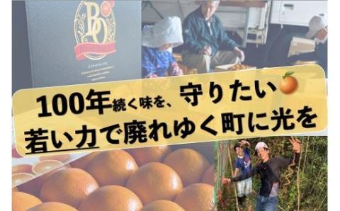 N-119 山内農園のブラッドオレンジ　５ｋｇ