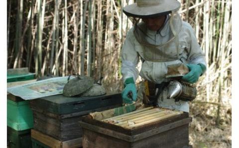 O-65 太良町産　はちみつ（みかん蜜）１ｋｇ