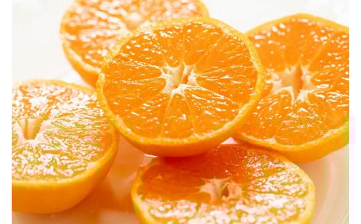 愛情たっぷりたらみかん 5kg 温州 みかん ミカン 蜜柑 温州蜜柑 温州ミカン フルーツ くだもの 果物 ミネラル豊富 太良町 国産 贈答用 お中元 お歳暮