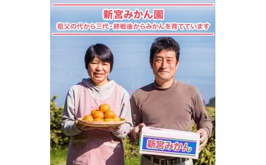 新宮みかん園 完熟早生みかん（S～L）５kg