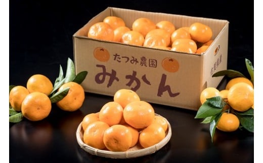 辰見農園の完熟みかん　５ｋｇ　みかん ミカン 蜜柑 温州みかん 完熟みかん 甘熟 柑橘 有機栽培 国産 こだわり ノーワックス 贈答品 産地直送 詰め合わせ 佐賀県産 太良町