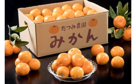 辰見農園の完熟みかん（小玉）５ｋｇ