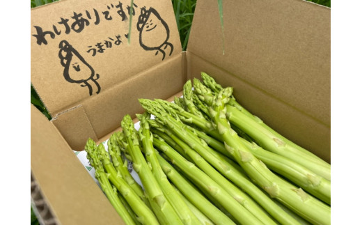 味はそのまま訳あり 森のアスパラ 800g (料理王国100選入賞 2021) アスパラ アスパラガス 規格外品 訳あり 佐賀県 太良町