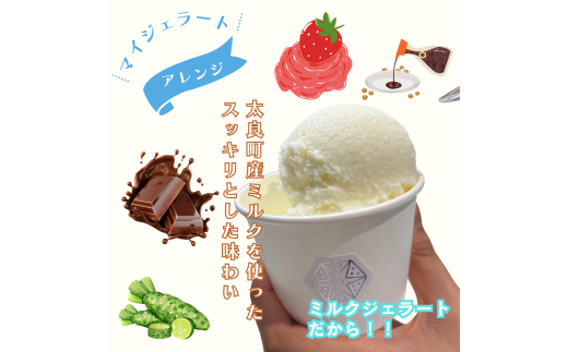 しぼりたて生乳で作った濃厚ミルクジェラート 2個セット  ジェラート シャーべット アイスクリーム アイス 生乳 ミルク ジェラート クリーミー デザート 氷菓子 スイーツ 濃厚 冷凍 佐賀県 太良町