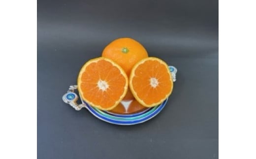 峰農園のゆたたりみかん（小玉） 5kg みかん 温州みかん 完熟みかん さがみかん 太良みかん 甘熟 柑橘 国産 極甘 小玉 美味しい ミネラル豊富 多良岳山系の水 有明海の潮風 贈答用 お中元 お歳暮 産地直送 佐賀県 太良町