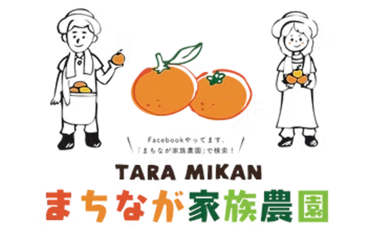 まちなが家族農園の完熟みかん 3.5kg みかん ミカン 蜜柑 たらみかん 太良みかん 温州みかん 完熟みかん 甘熟 柑橘 国産 佐賀県産 太良町 こだわり 有機栽培 産地直送 贈答品 詰め合わせ 極甘