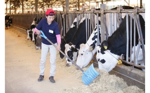 風の牧場「牛の匠が作る本格カレー」