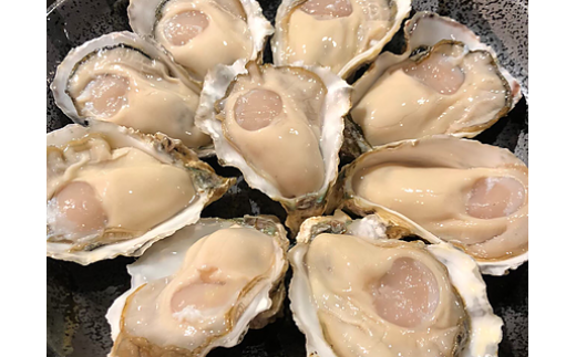 N-161 有明海からの贈り物