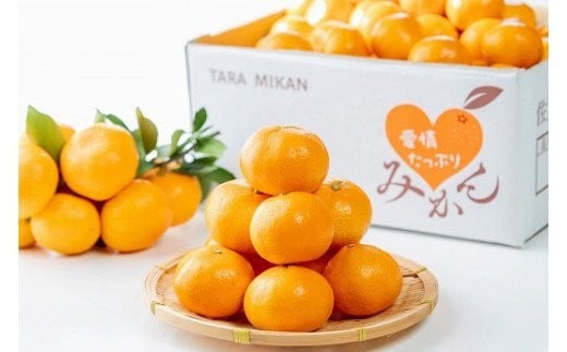 N-218 愛情たっぷりたらみかん（大玉）10kg