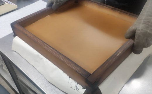 N-249 たまご専門店☆たまご家のカステラ「かすて卵」10個入り