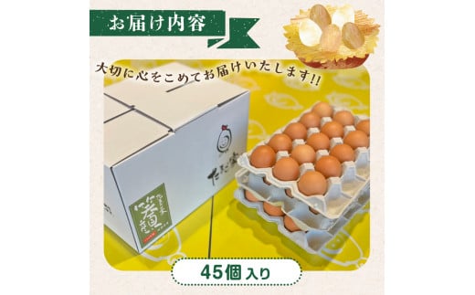 NB-6 たまご家のハーブ卵（笑顔）45個