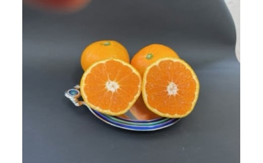 峰農園のゆたたりみかん  10kg 温州 みかん ミカン 蜜柑 温州蜜柑 温州ミカン フルーツ くだもの 果物 ミネラル豊富 国産 産地直送 贈答用 お中元 お歳暮 月の引力が見える町 太良町 ふるさと納税 返礼品 さがみかん 太良みかん 美味しい 多良岳山系の水 有明海の潮風 佐賀県 太良町