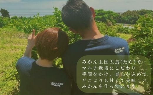 【数量限定】中尾農園の夢みるみかん クレメンティン ジュース 720ml 2本セット 佐賀県 太良町