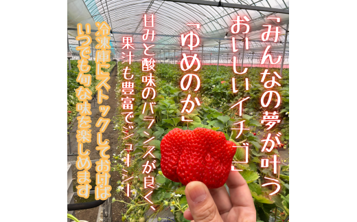 訳あり！太良町産「ゆめのか」冷凍いちご500ｇ×10袋 佐賀県 太良町