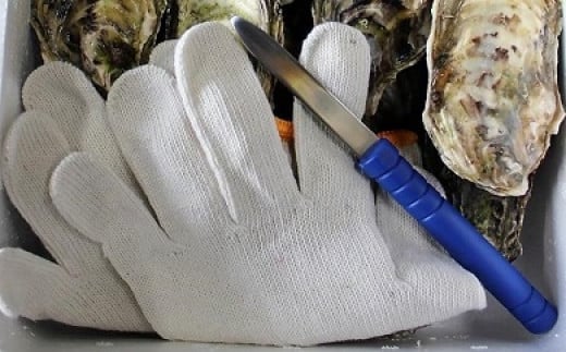 海男の殻付き牡蠣　２０個