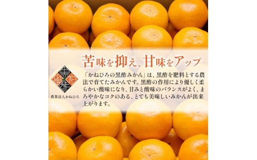かねひろの柑橘定期便 3回コース みかん 蜜柑 ミカン 柑橘 黒酢みかん 黒酢不知火 果実 フルーツ 果物 くだもの 柑橘類 定期便 佐賀県 太良町