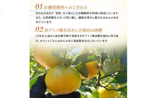 R-37「果樹園みかんの木」のお楽しみ５回定期便コース