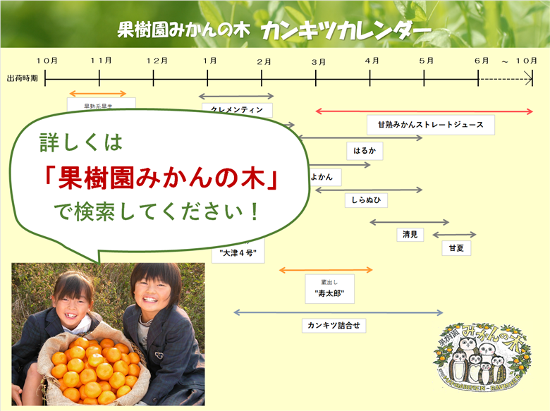 【先行予約】「果樹園みかんの木」のお楽しみ５回定期便コース　みかん ミカン 蜜柑 温州みかん 完熟みかん 甘熟 柑橘 しらぬひ でこぽん デコポン みかんジュース ストレートジュース 100％ジュース 有機栽培 国産 佐賀県産 太良町 こだわり 贈答品 産地直送 詰め合わせ 定期便 佐賀県 太良町 R37x1 【2026年11月下旬-2027年6月下旬発送予定】