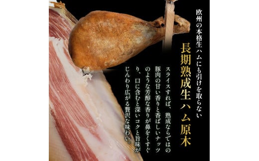 U-9 N450A長期熟成生ハム原木1本