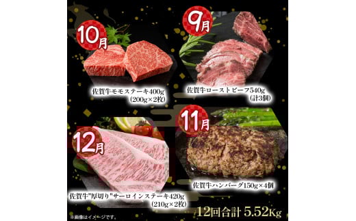 V-11佐賀牛 特選！12回定期便