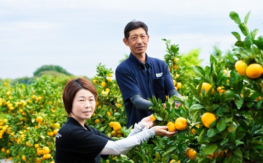 中尾農園の夢みるみかんじゃばらストレート果汁 150ml×5本セット