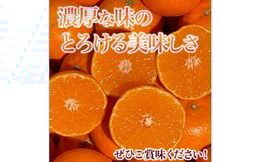 山本農園のクレメンティン 3kg 【2026年3月上旬迄順次発送予定】 クレメンティン みかん 柑橘 国産 オレンジ マンダリン 希少 ジューシー くだもの 果物 フルーツ 新鮮 贈り物 ギフト 佐賀県 太良町 L41x1