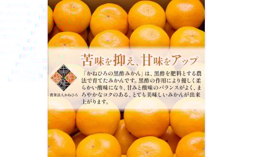 かねひろの黒酢みかん たっぷり 大玉 10kg （2L～3Lサイズ） 【7営業日以内発送】 【2026年1月下旬まで順次発送予定】 みかん ミカン 黒酢みかん 温州みかん 極早生種 早生種 中生種 晩生種 蜜柑 フルーツ 果物 くだもの 柑橘 常温 国産 佐賀県産 佐賀県 太良町 常温