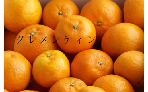 クレメンティンジュース 720ml 2本セット （贈答） 【2026年2月上旬～9月下旬発送予定】 みかん 柑橘 フルーツ ジュース 早津みかん園 佐賀県 太良町 ND13x1-1