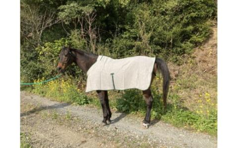 SM-1 馬着　リネンフライシート（グリーン）